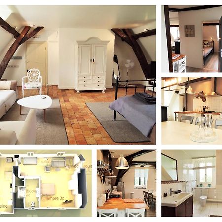Chateau La Mothaye - Self Catering Apartments With Pool In The Loire Valley Les Bois-d'Anjou Buitenkant foto