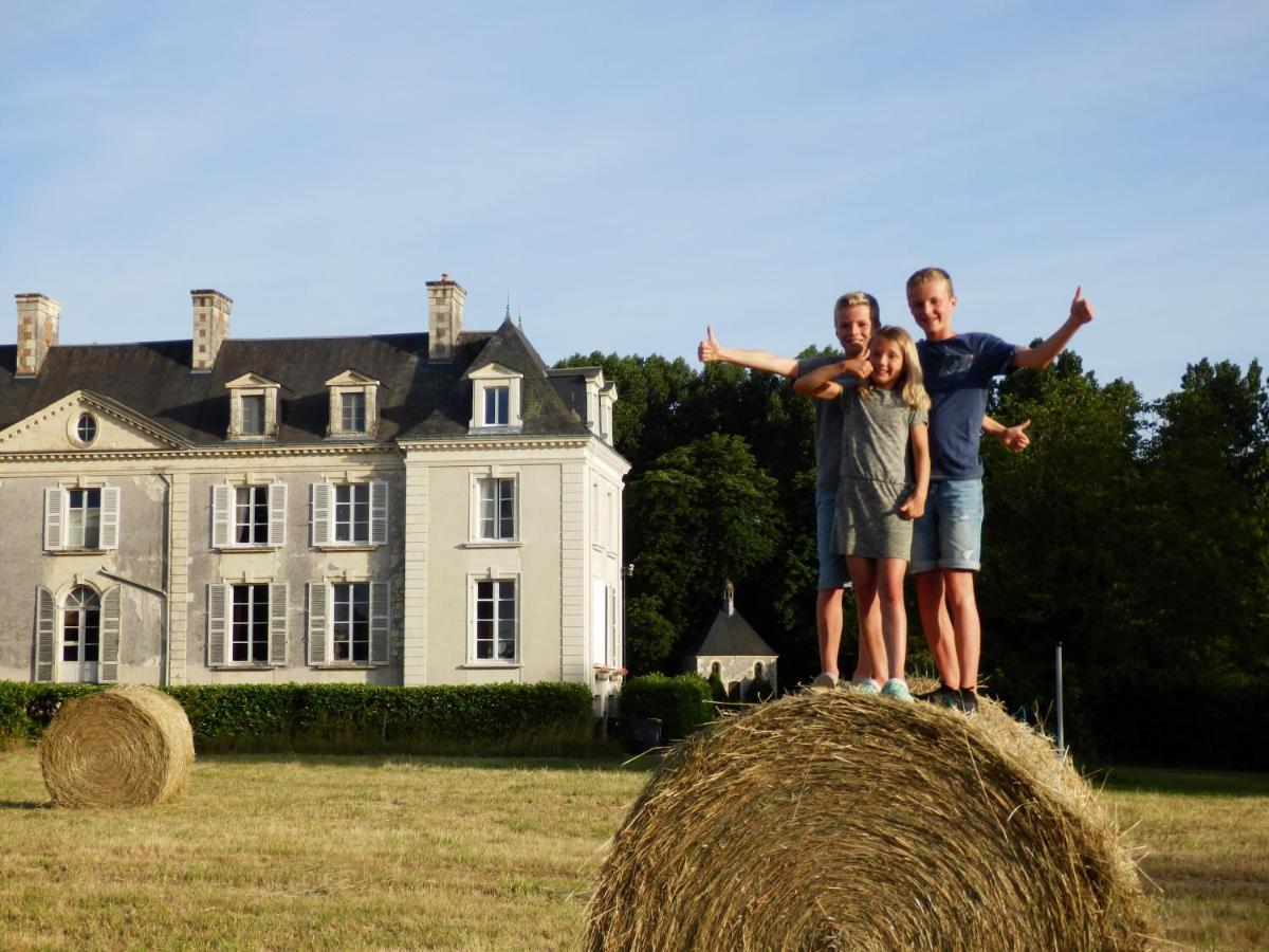 Chateau La Mothaye - Self Catering Apartments With Pool In The Loire Valley Les Bois-d'Anjou Buitenkant foto