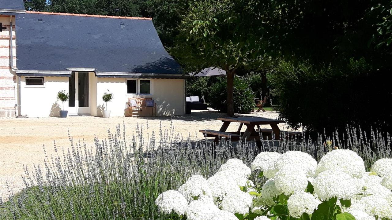 Chateau La Mothaye - Self Catering Apartments With Pool In The Loire Valley Les Bois-d'Anjou Buitenkant foto