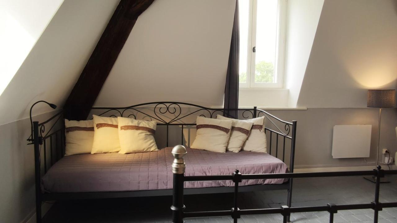 Chateau La Mothaye - Self Catering Apartments With Pool In The Loire Valley Les Bois-d'Anjou Buitenkant foto
