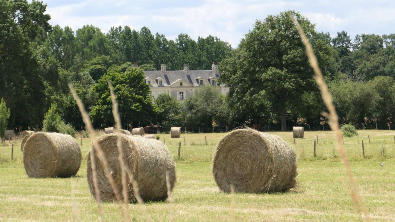 Chateau La Mothaye - Self Catering Apartments With Pool In The Loire Valley Les Bois-d'Anjou Buitenkant foto