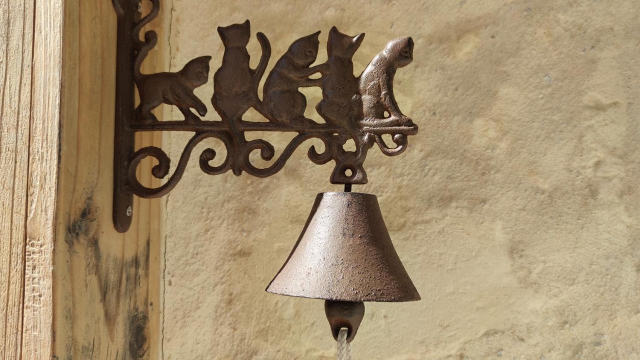 Chateau La Mothaye - Self Catering Apartments With Pool In The Loire Valley Les Bois-d'Anjou Buitenkant foto
