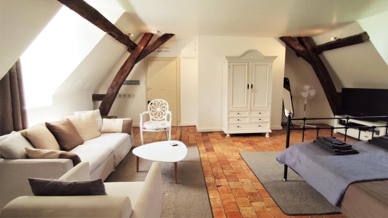 Chateau La Mothaye - Self Catering Apartments With Pool In The Loire Valley Les Bois-d'Anjou Buitenkant foto