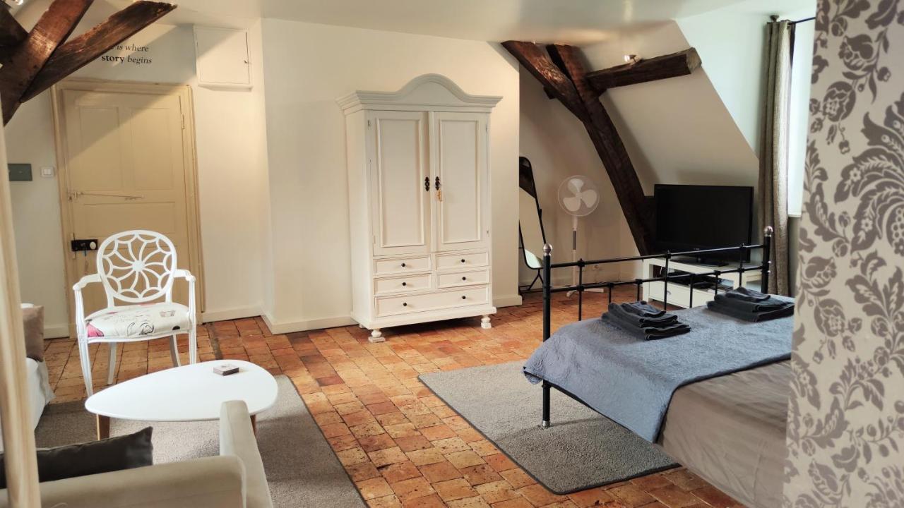 Chateau La Mothaye - Self Catering Apartments With Pool In The Loire Valley Les Bois-d'Anjou Buitenkant foto