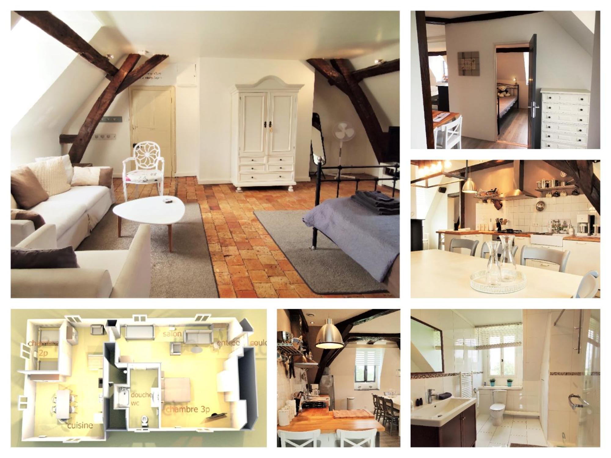 Chateau La Mothaye - Self Catering Apartments With Pool In The Loire Valley Les Bois-d'Anjou Buitenkant foto