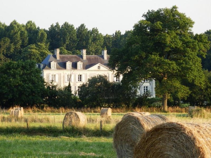 Chateau La Mothaye - Self Catering Apartments With Pool In The Loire Valley Les Bois-d'Anjou Kamer foto